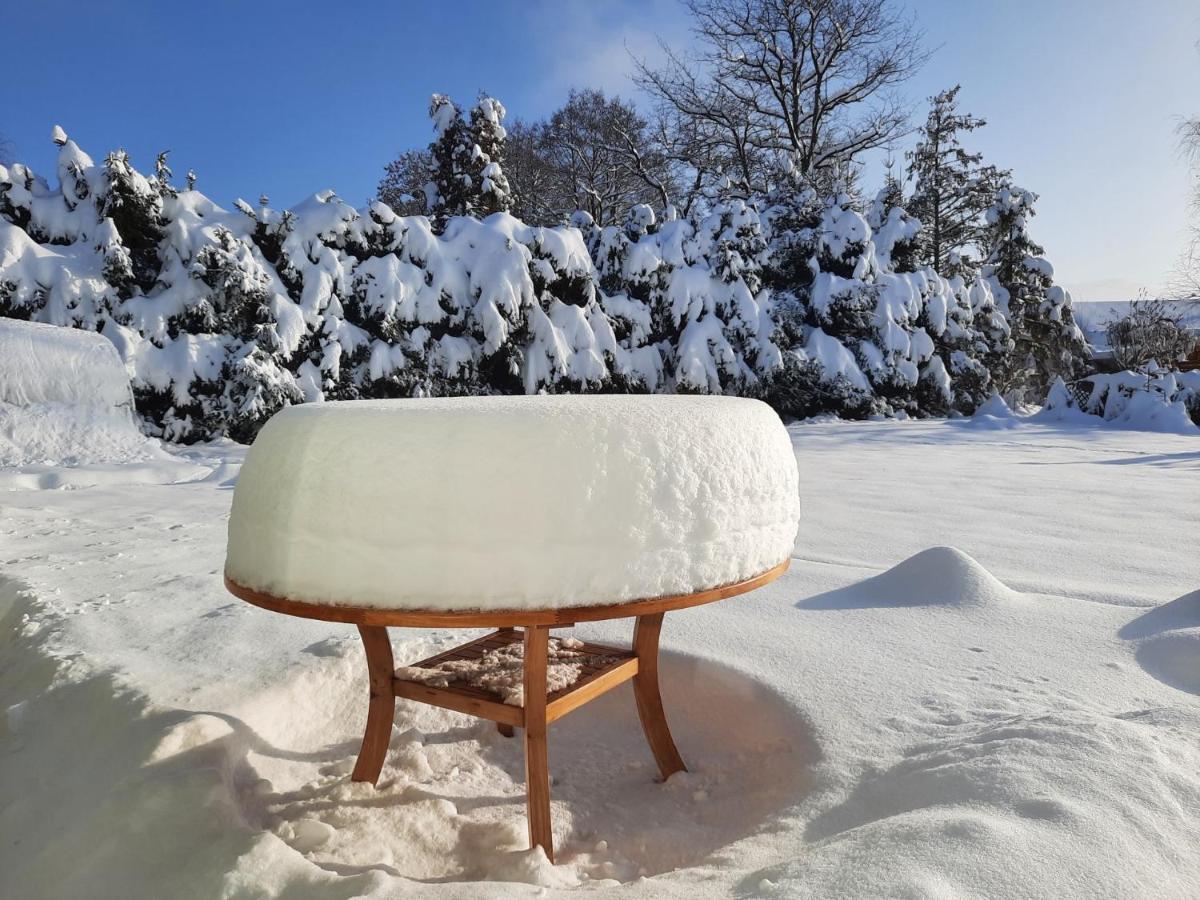 Appartement V Prirode Na Okraji Frenstatu Pod Radhostem à Frenštát pod Radhoštěm Extérieur photo